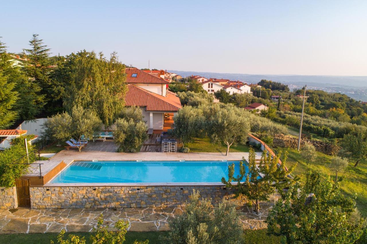Villa Emi Zgornje Skofije Extérieur photo