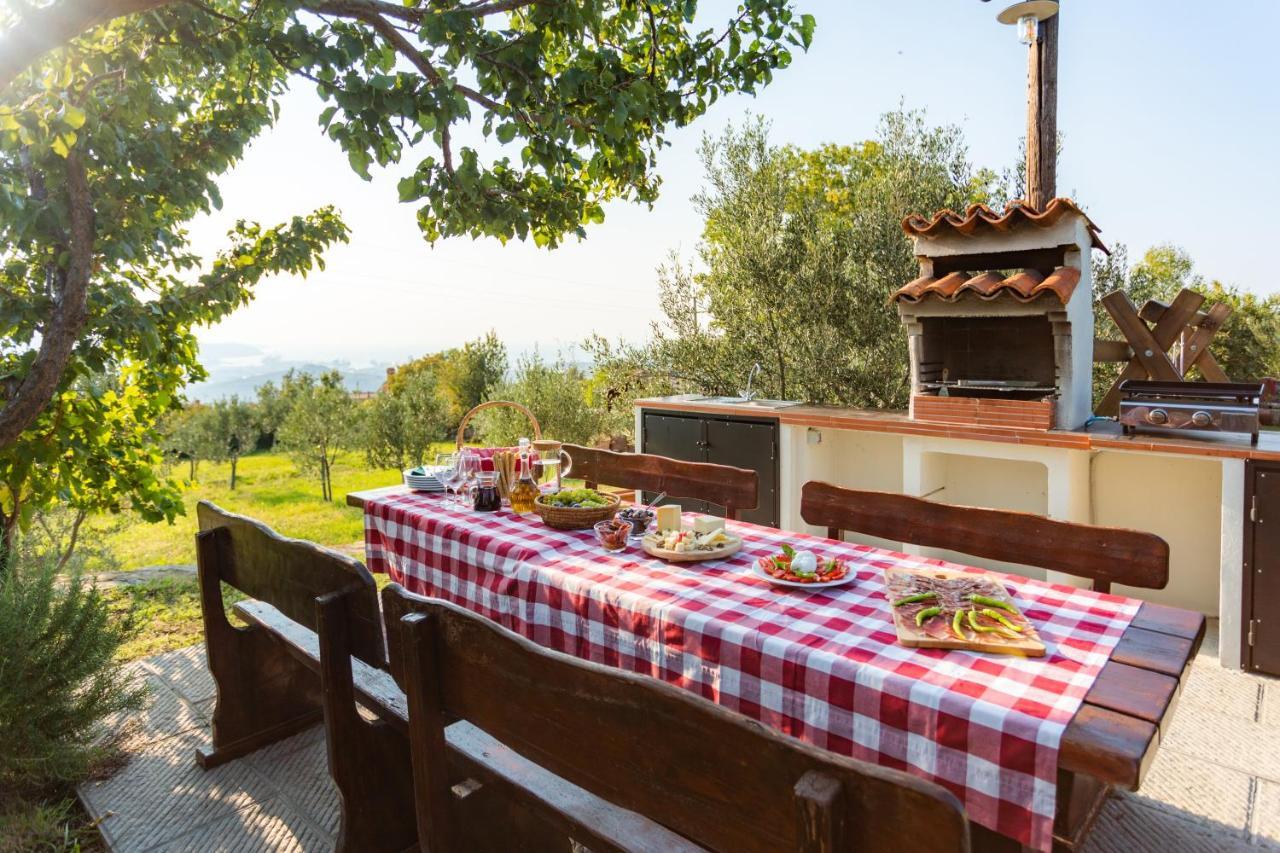 Villa Emi Zgornje Skofije Extérieur photo